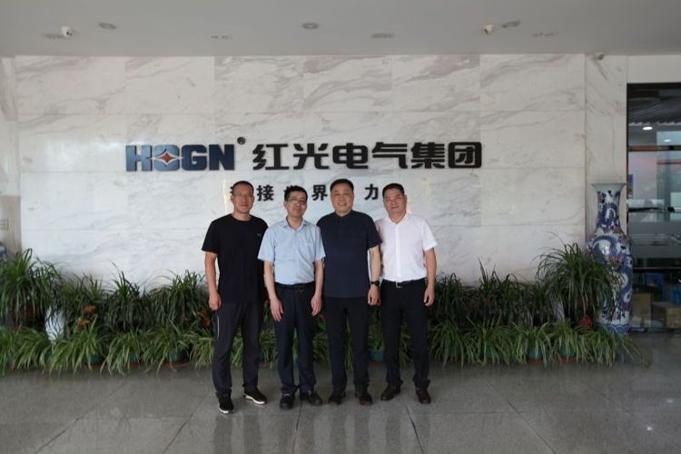 乐清市市场监视局刘勇局长一行莅临122cc太阳集成游戏电气集团调研