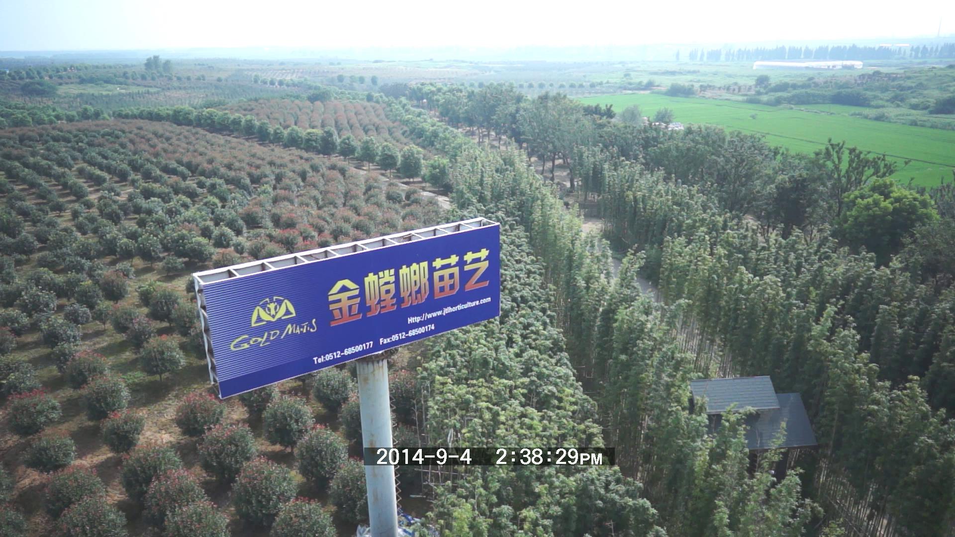 201604140949467143 九五至尊VI-老品牌值得信赖!