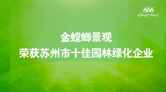 九五至尊VI-老品牌值得信赖!