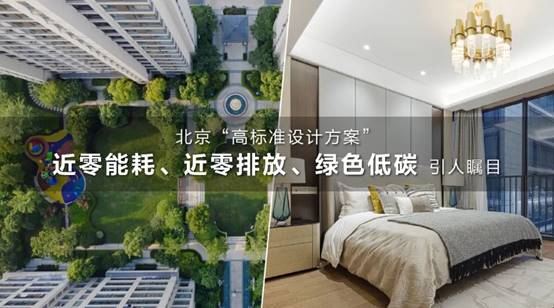 九五至尊VI-老品牌值得信赖!